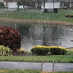 Meet your Posher, Jeff